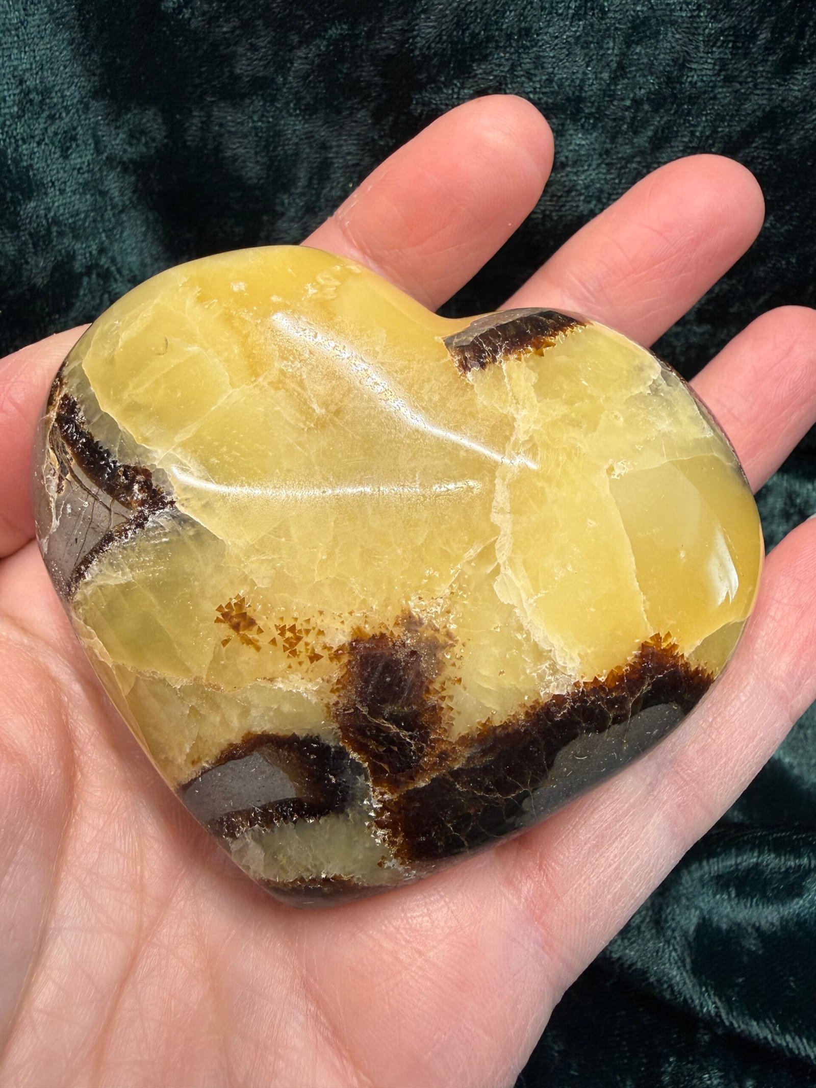 Septarian Nodule Heart