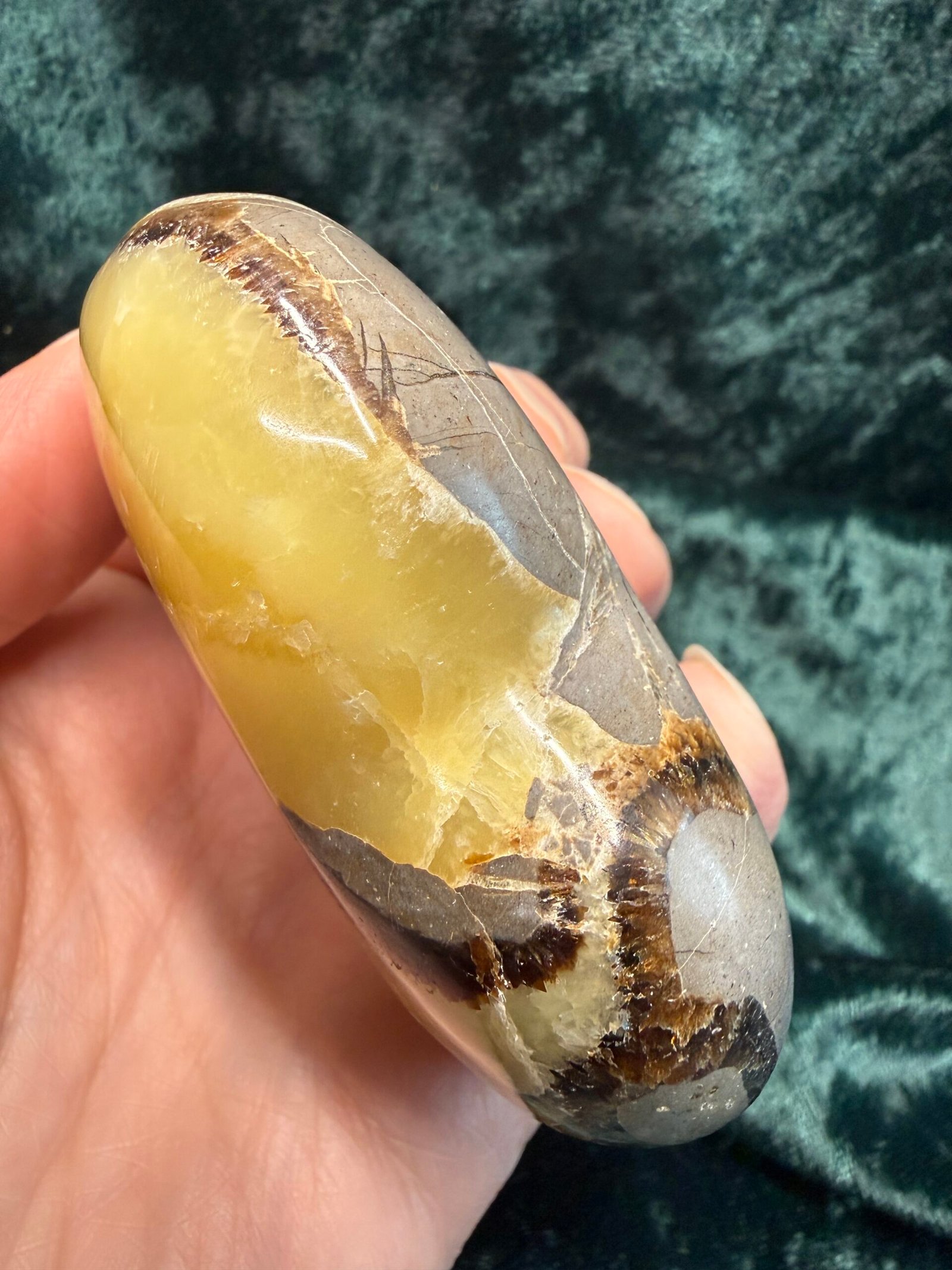 Septarian Nodule Heart - Image 5