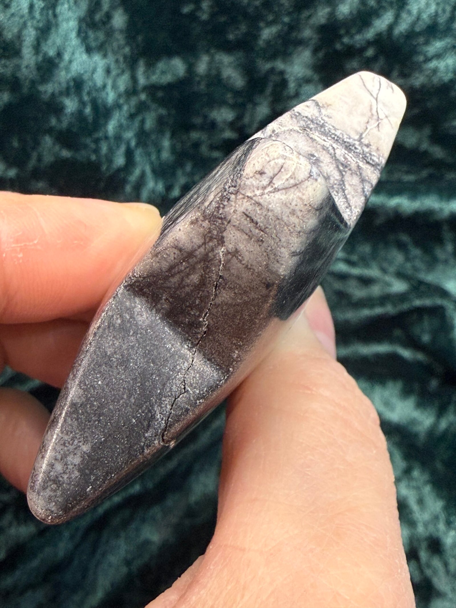 Black Vein Jasper Star - Image 5