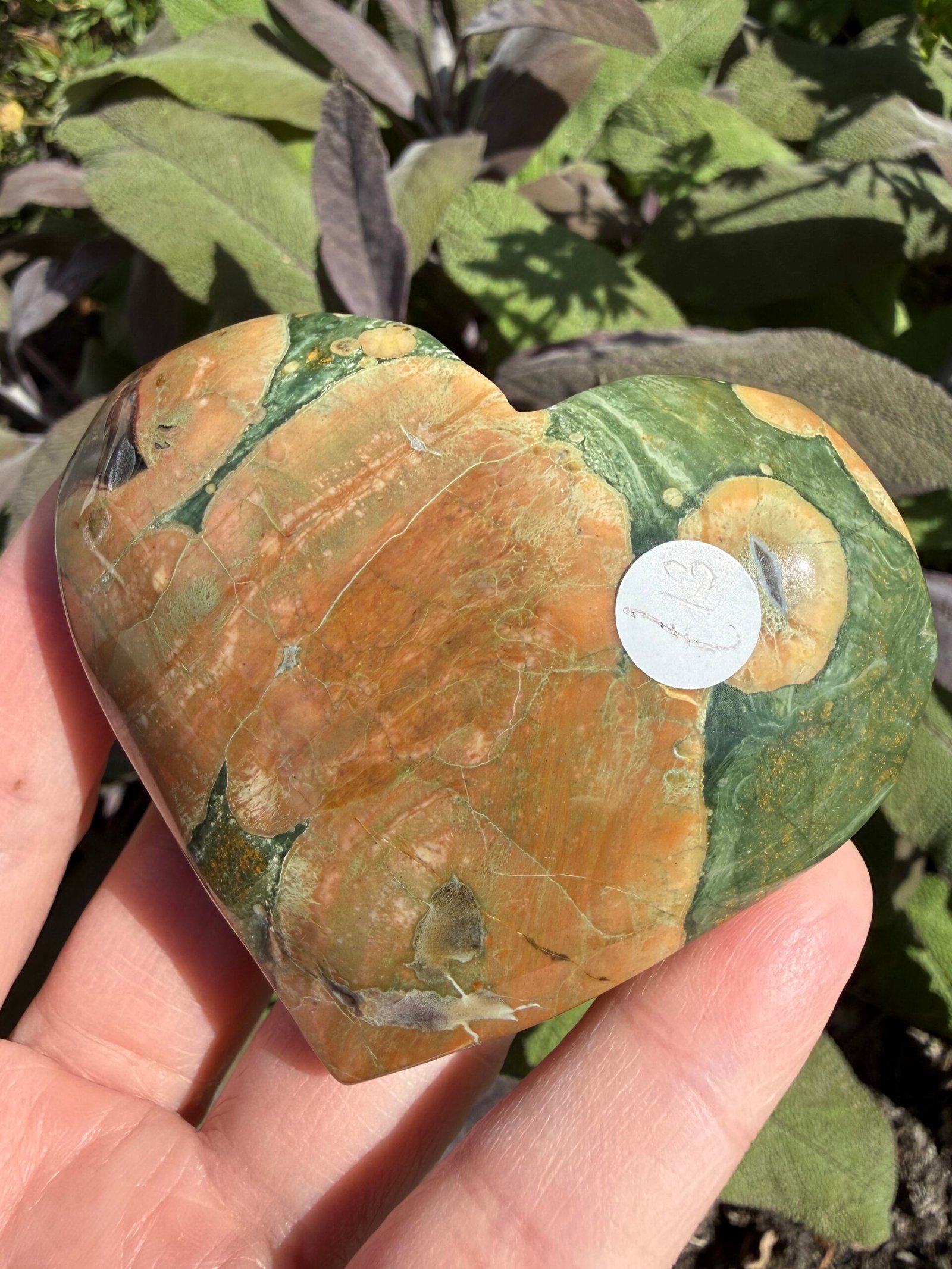 Rainforest Rhyolite Heart - Image 3
