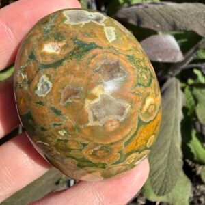 Rainforest Rhyolite Palm Stone