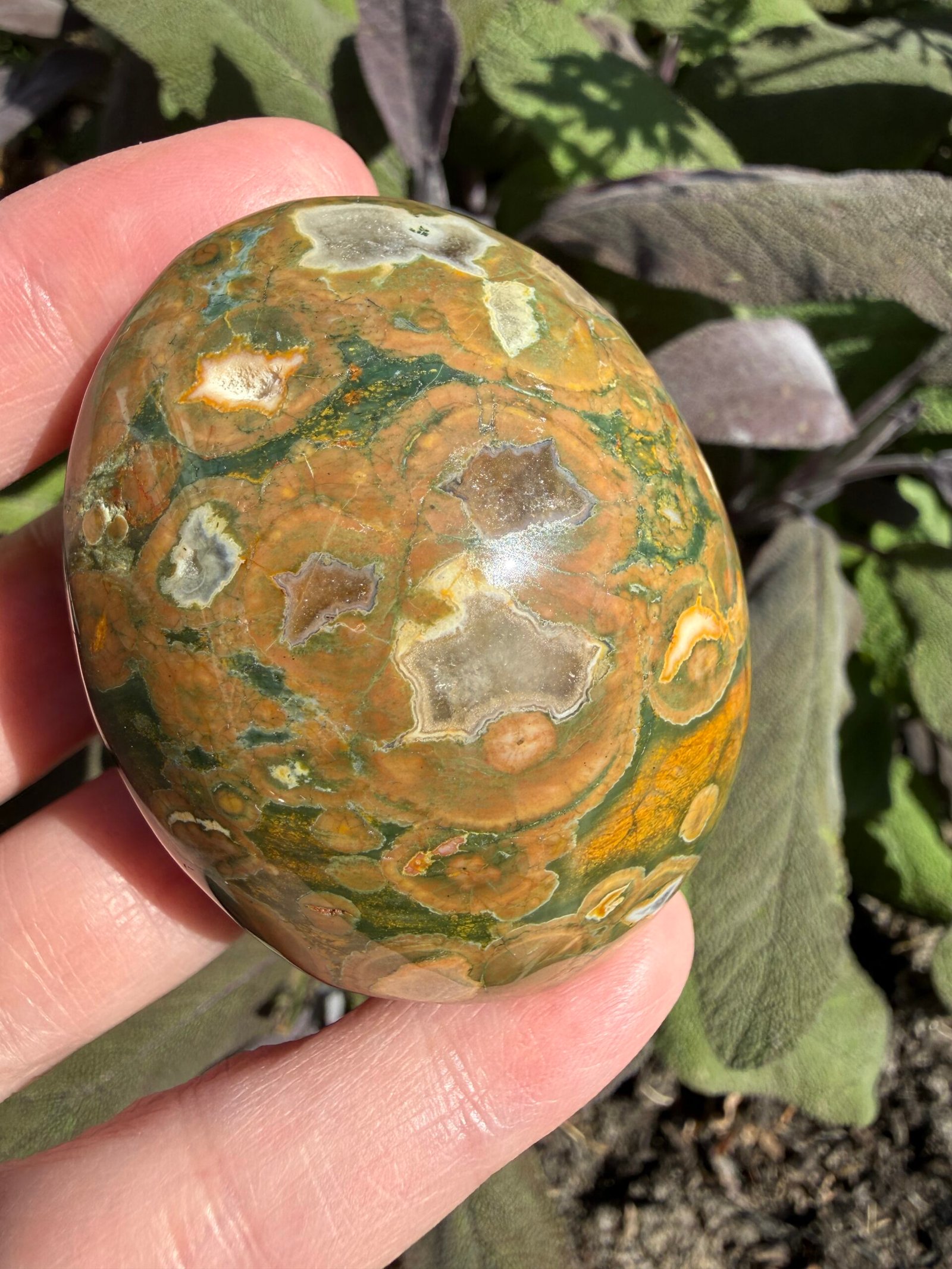 Rainforest Rhyolite Palm Stone