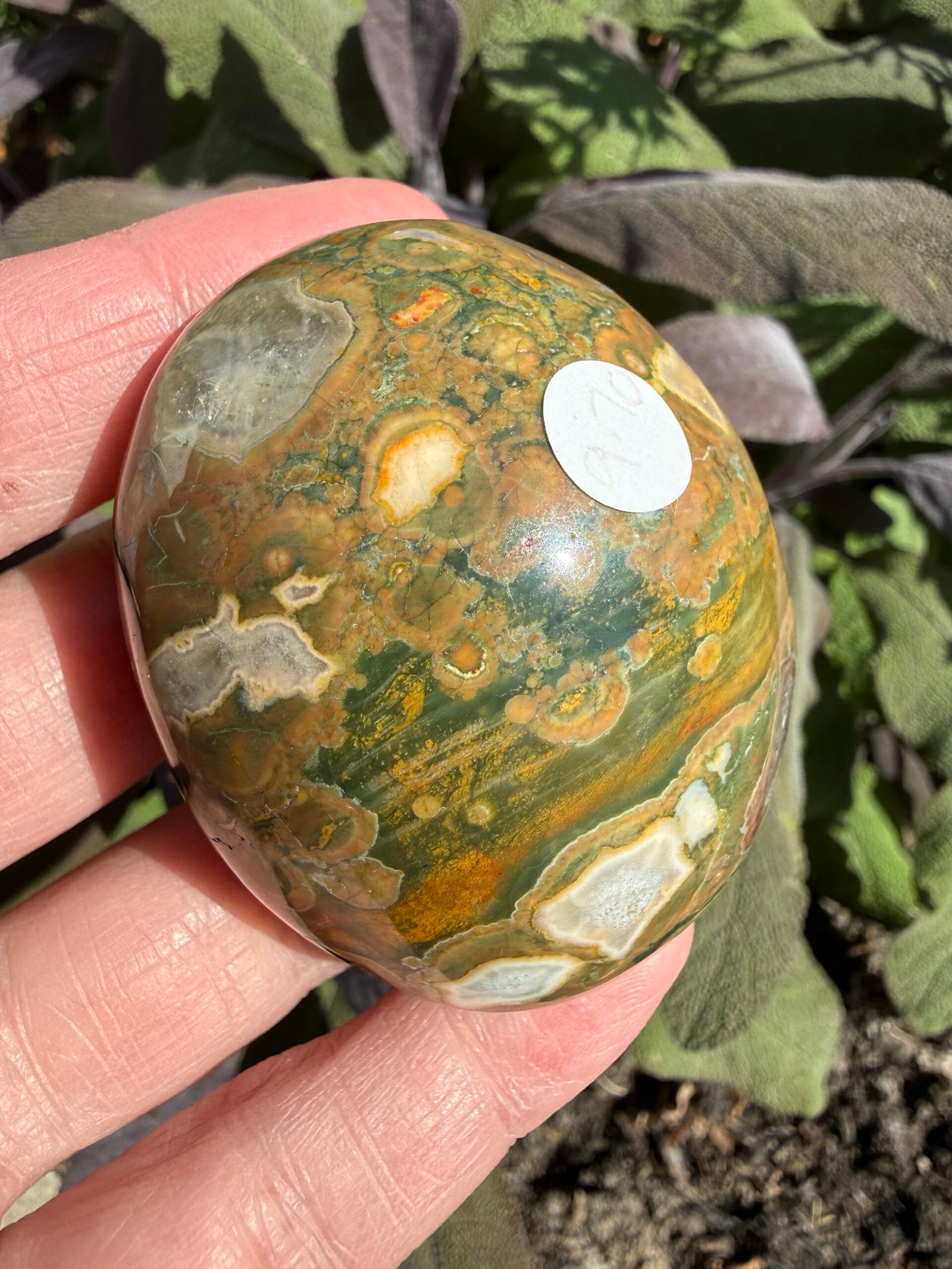 Rainforest Rhyolite Palm Stone - Image 3