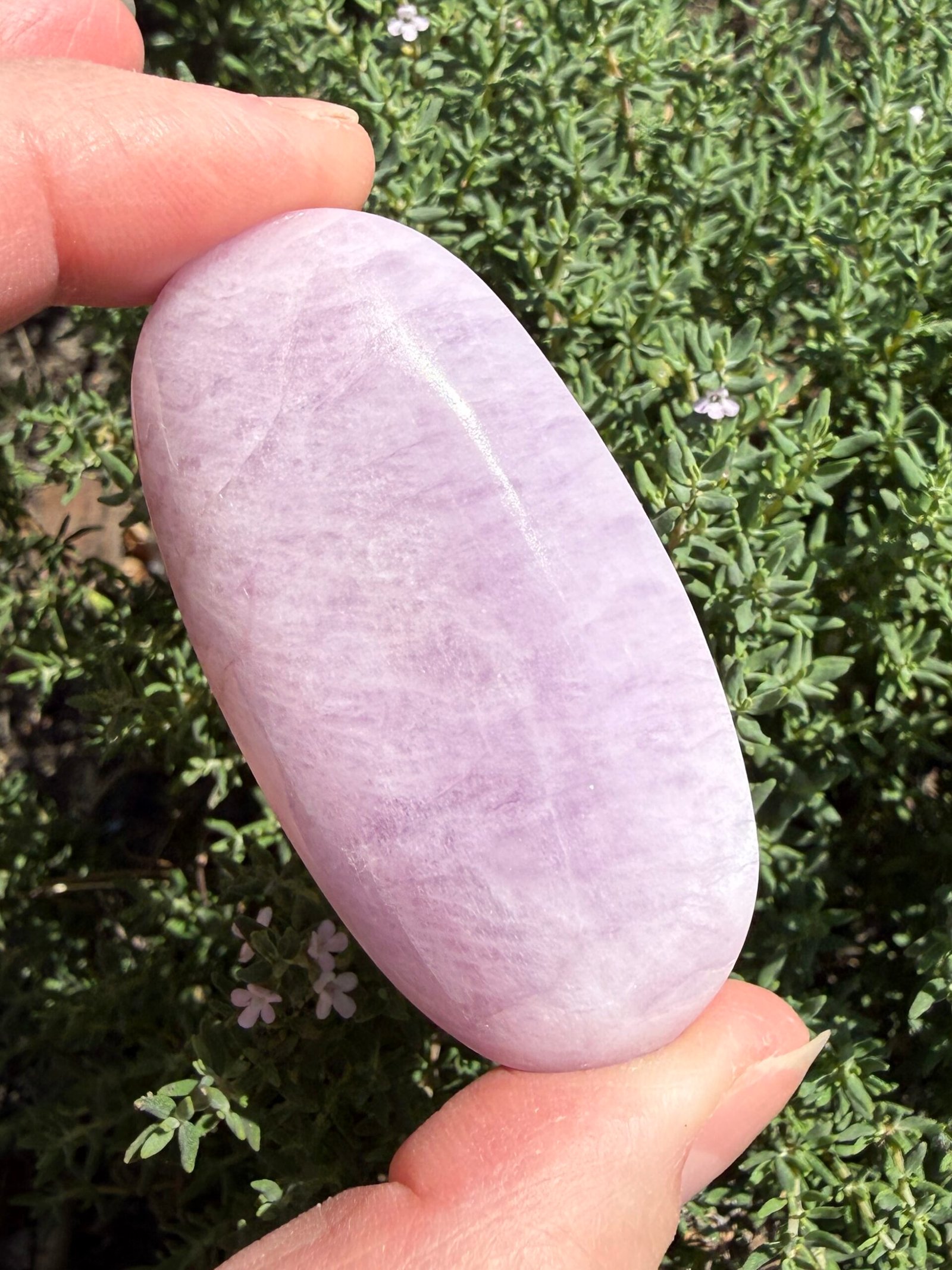 Kunzite Palm Stone - Image 2
