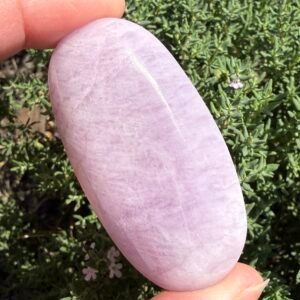 Kunzite Palm Stone