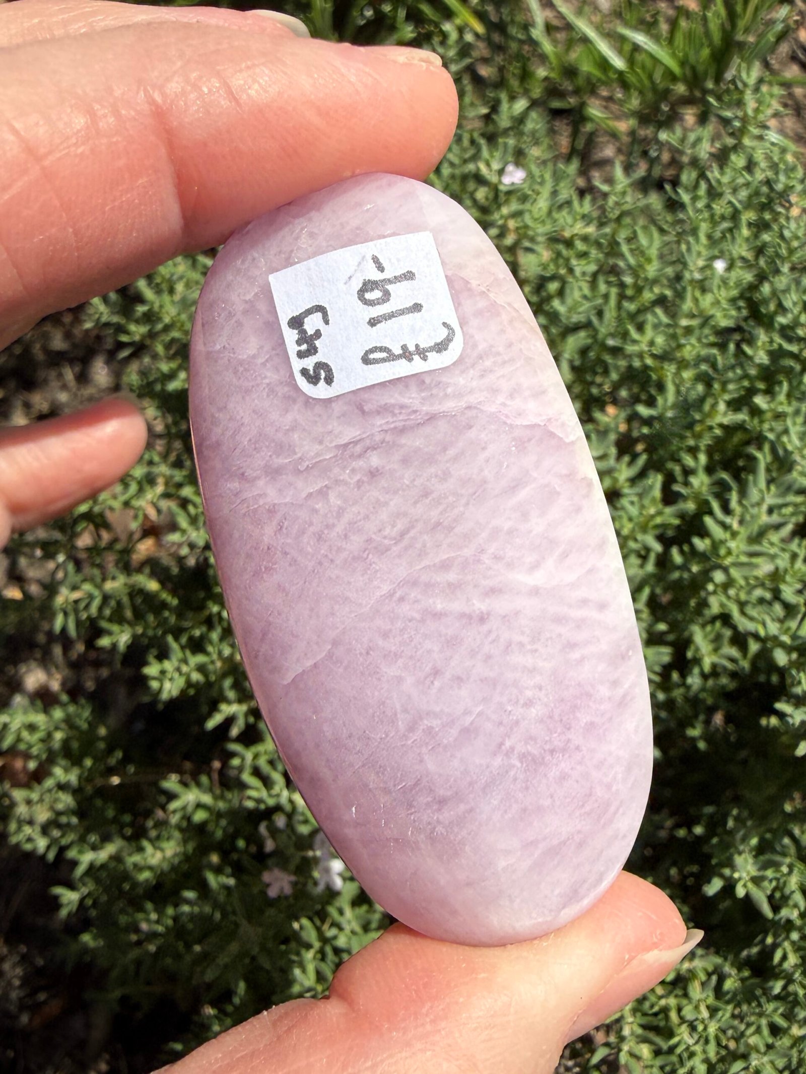 Kunzite Palm Stone - Image 4