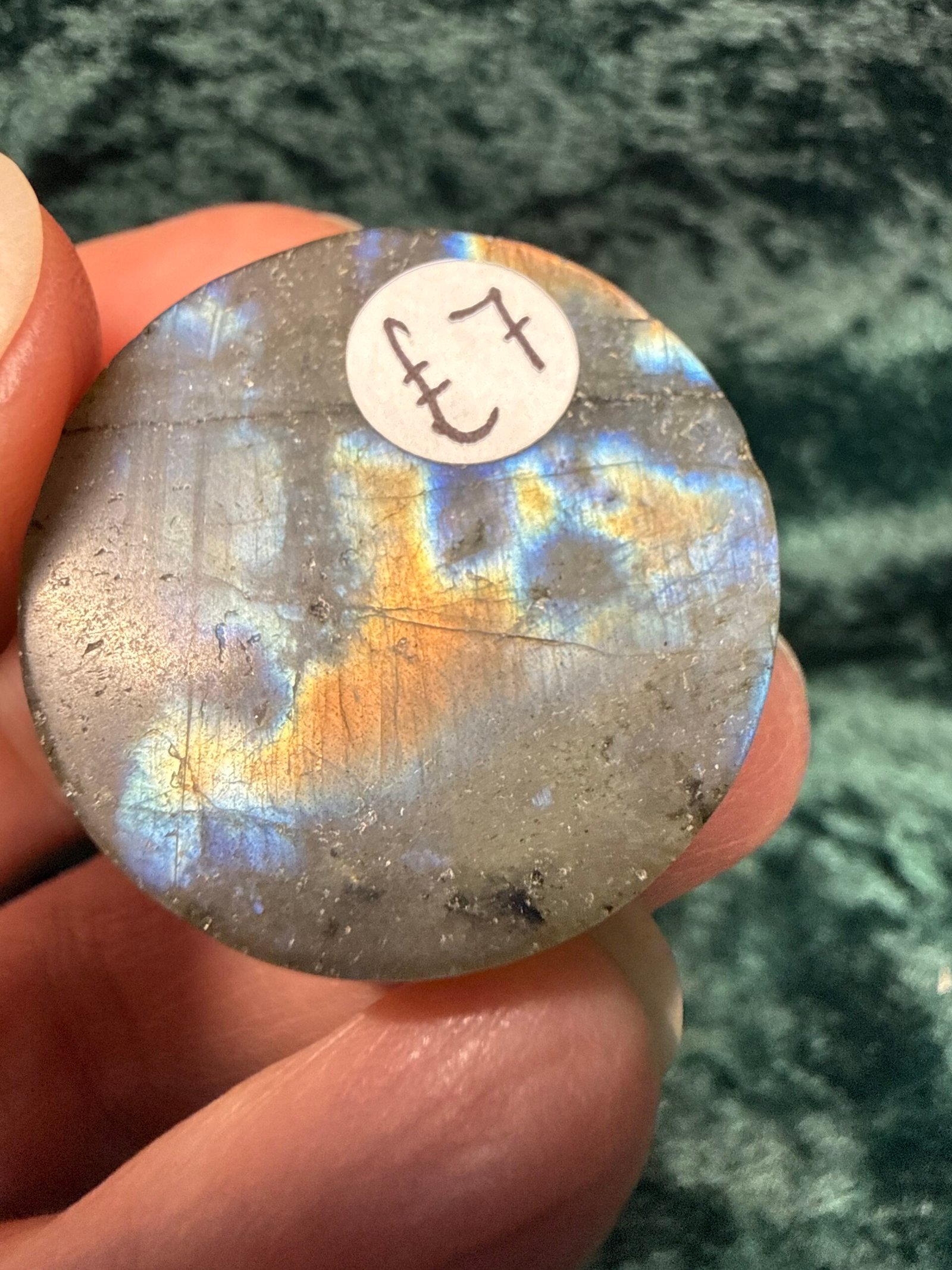 Labradorite Tree of Life Disc Carving - Image 4