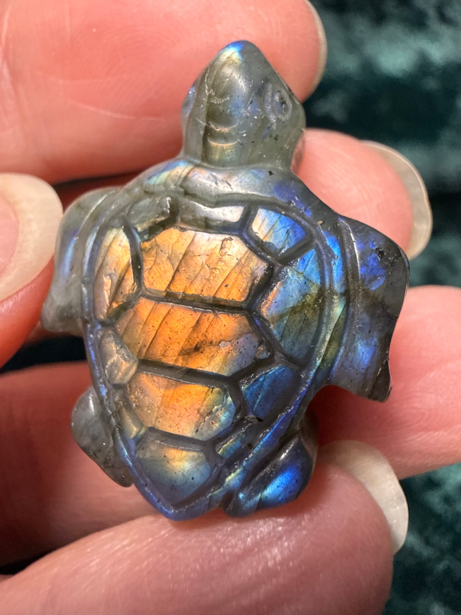 Labradorite Turtle Carving - Image 3