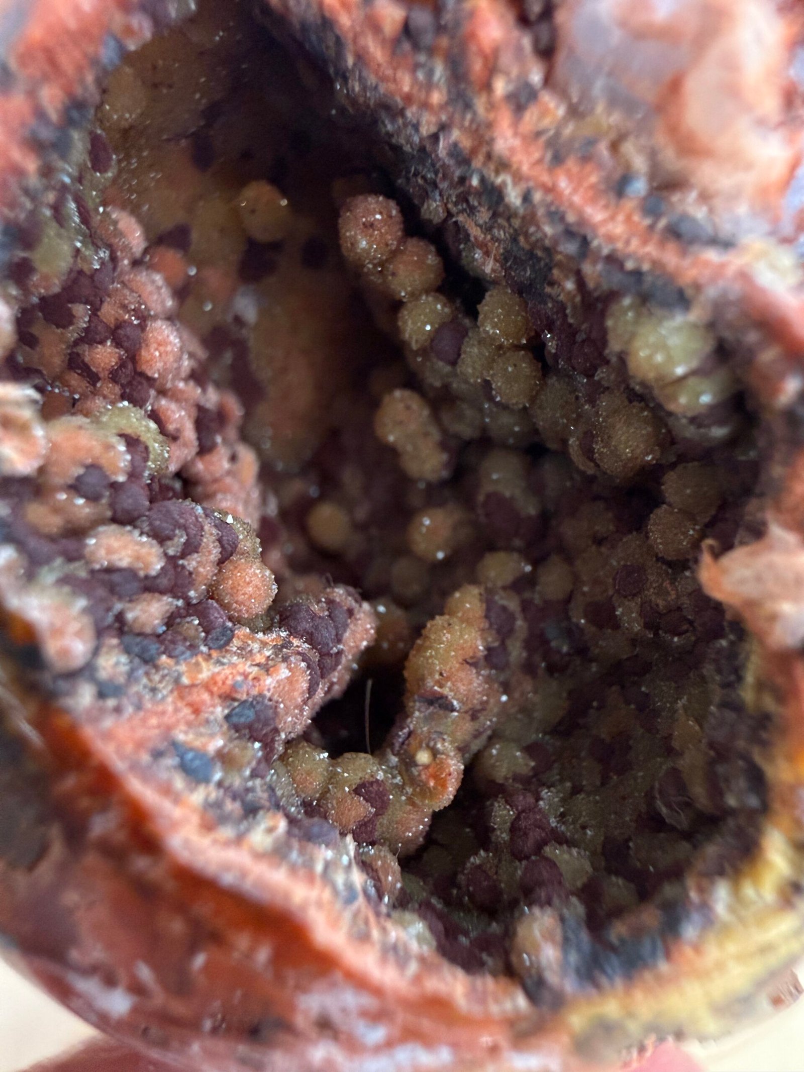 Orbicular Ocean Jasper Sphere - Image 6