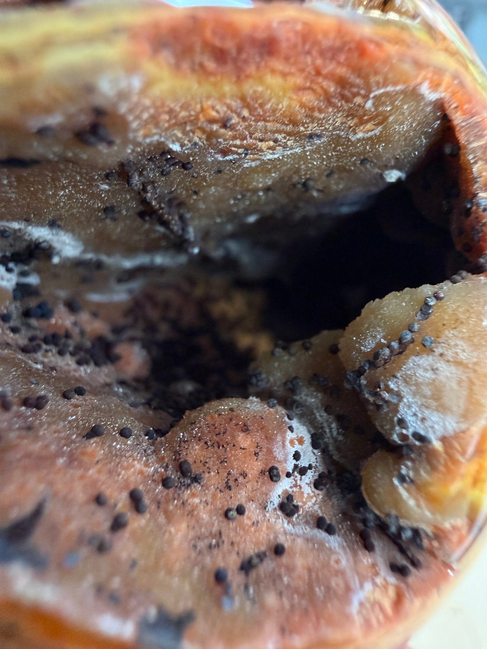 Orbicular Ocean Jasper Sphere - Image 7