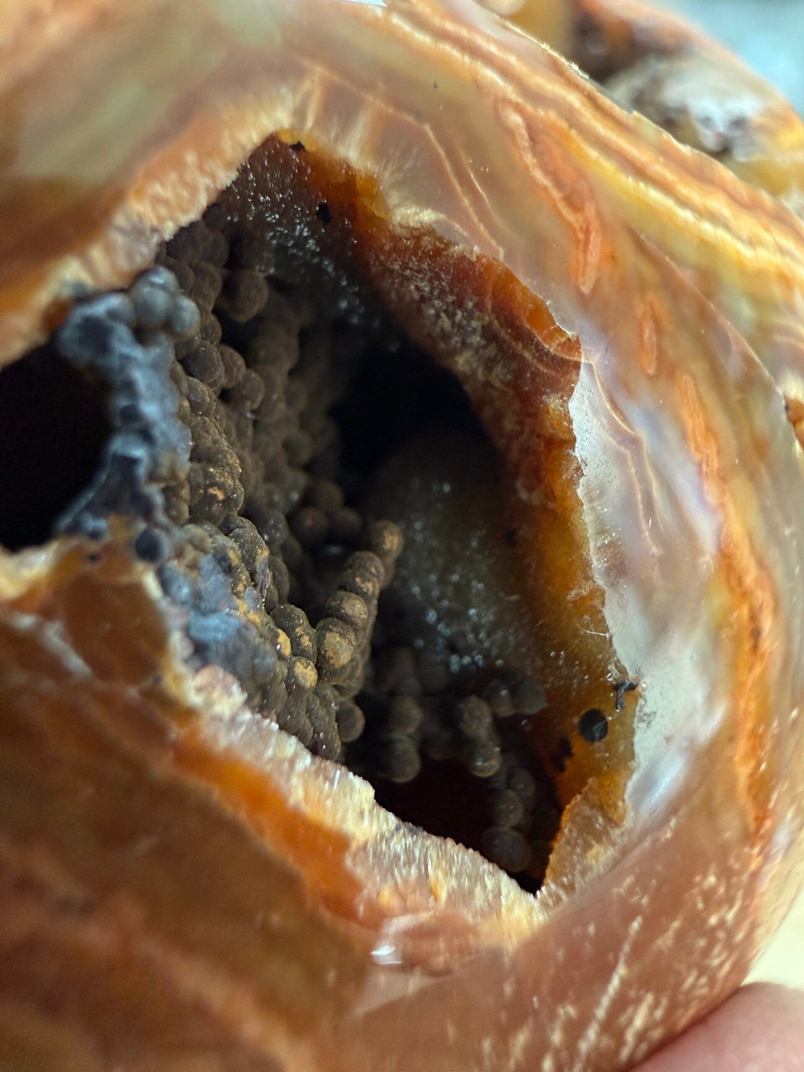 Orbicular Ocean Jasper Sphere - Image 10