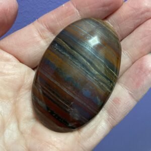 Leigh- tiger iron Palm