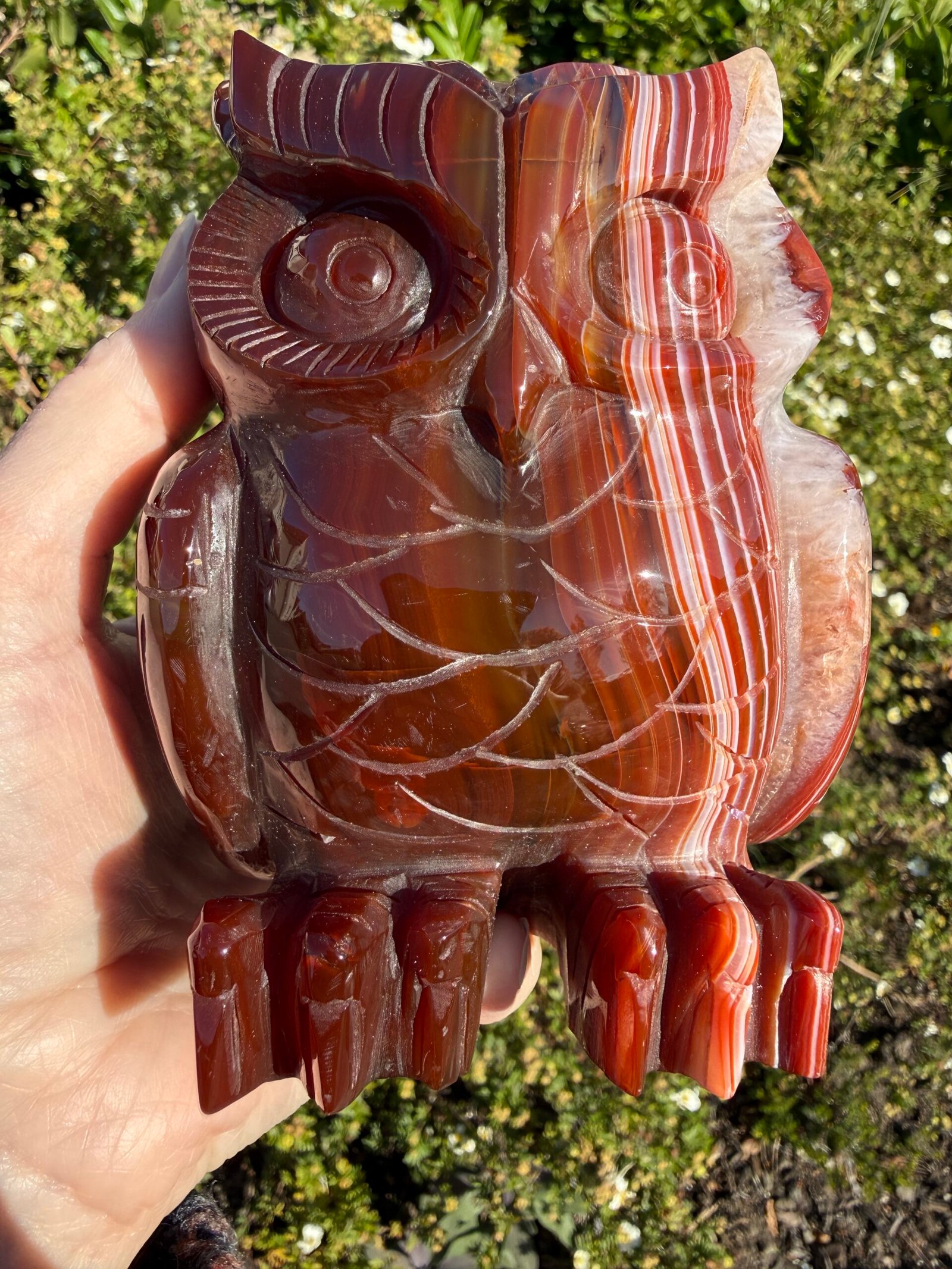 Carnelian Owl Carving - Image 7
