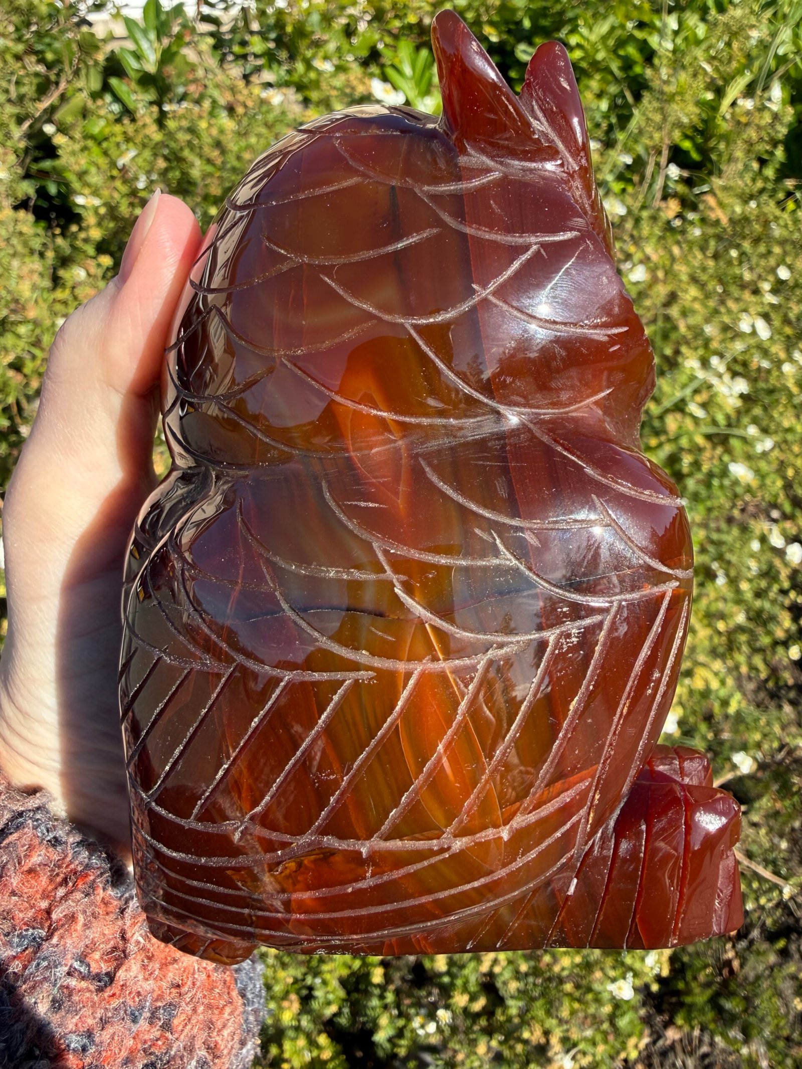 Carnelian Owl Carving - Image 9