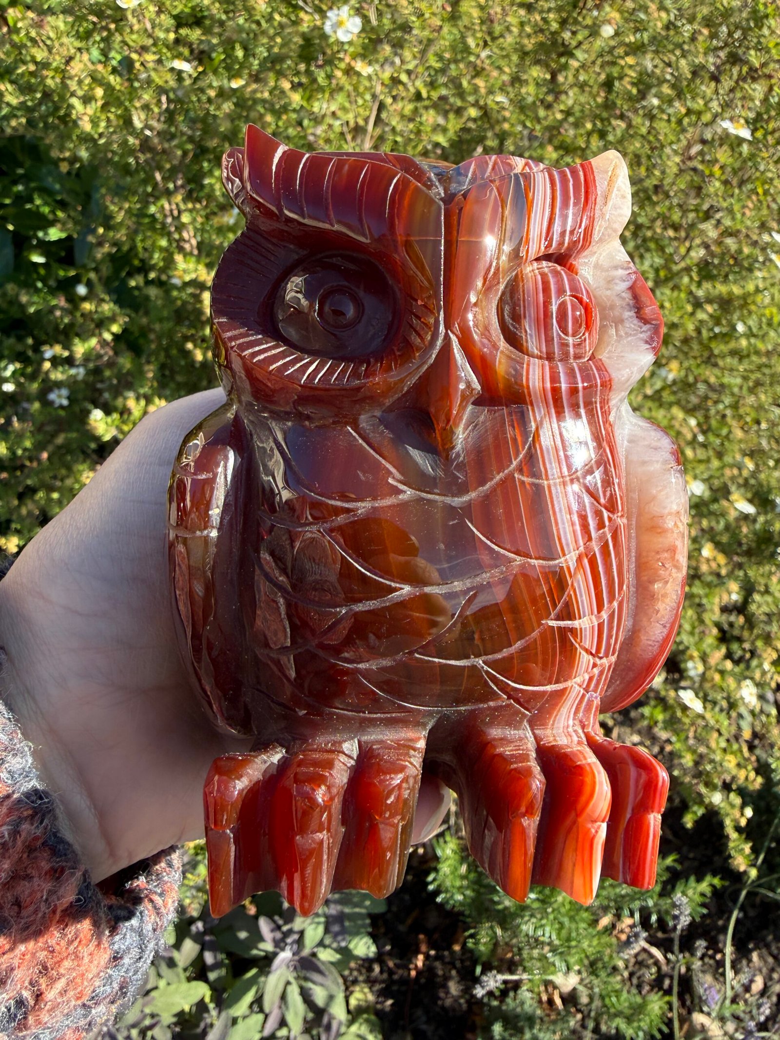 Carnelian Owl Carving - Image 8