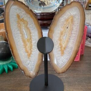 Agate Slice Butterfly on Custom Stand