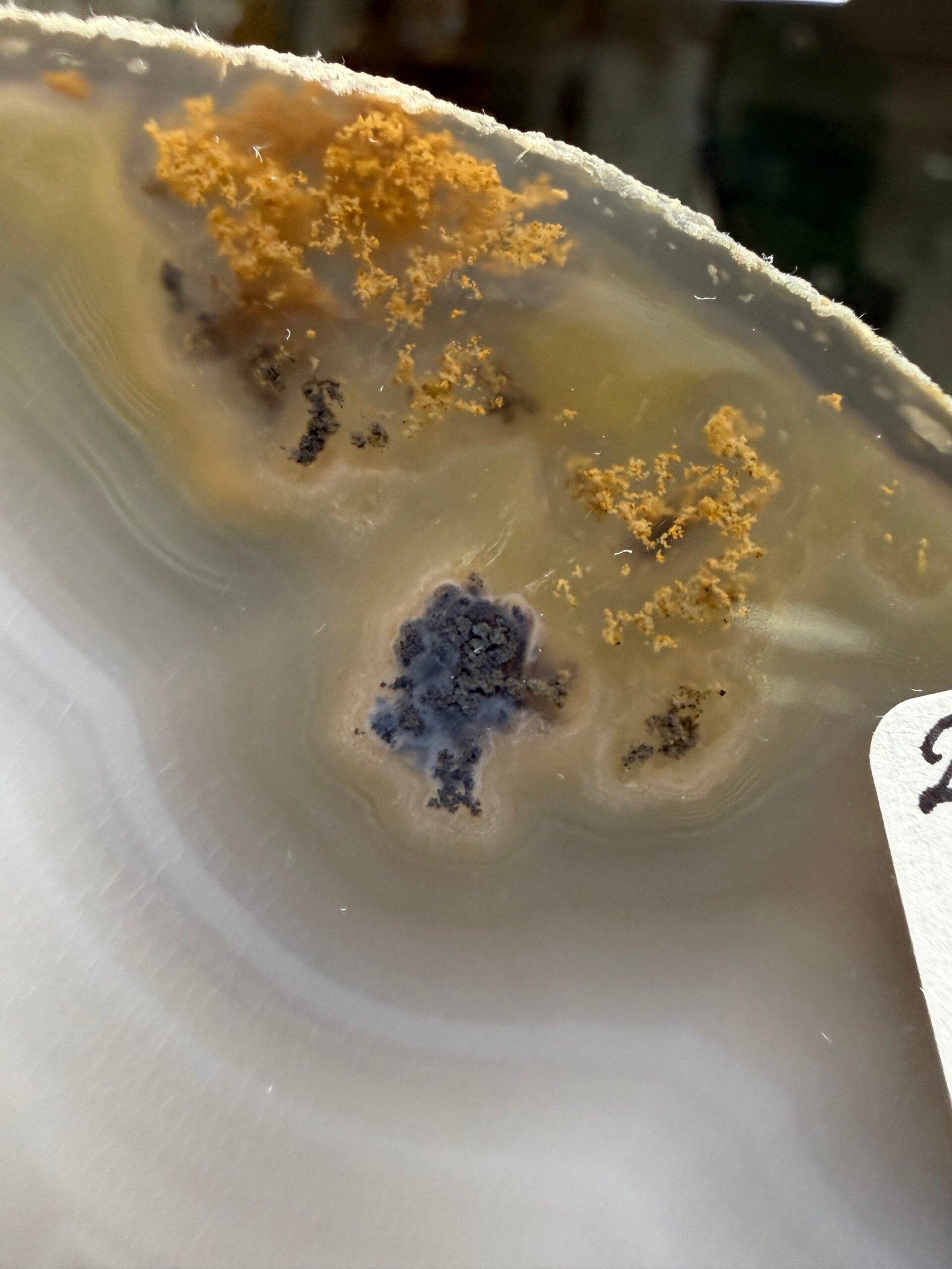 Brazilian Agate Slice with Stand - Image 3