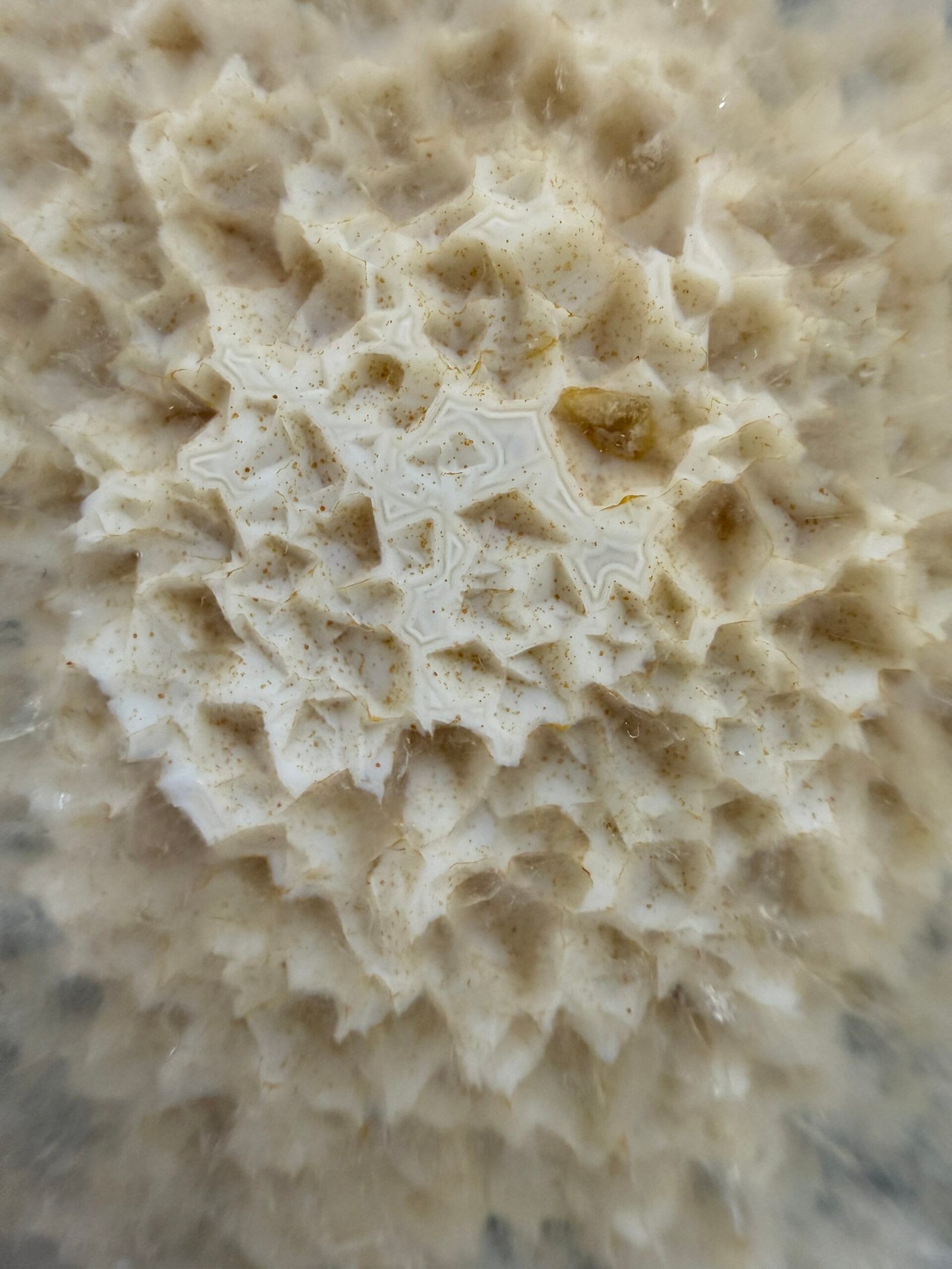 Brazilian Agate Slice with Stand - Image 3